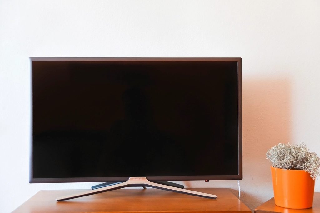 Flat-screen TV on a wooden stand next to a small potted plant