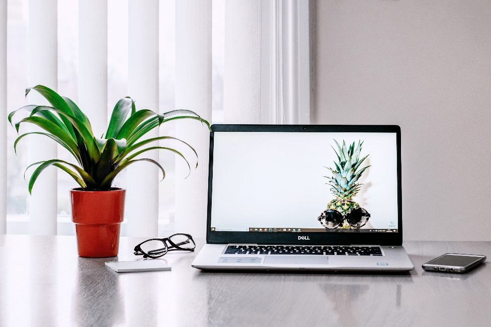 Bright desk with a laptop, a potted plant and glasses