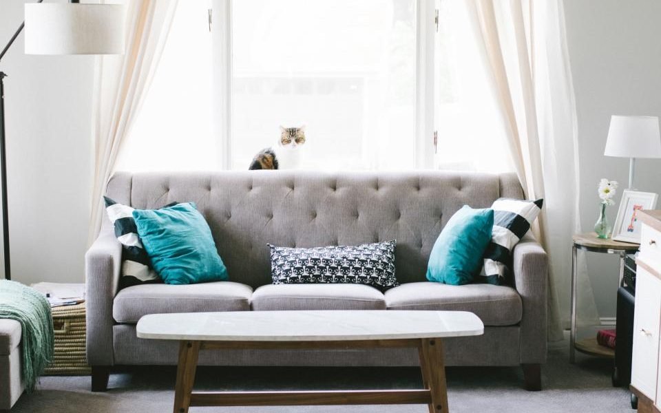 Tidy living room with a grey sofa, teal cushions and a wooden coffee table