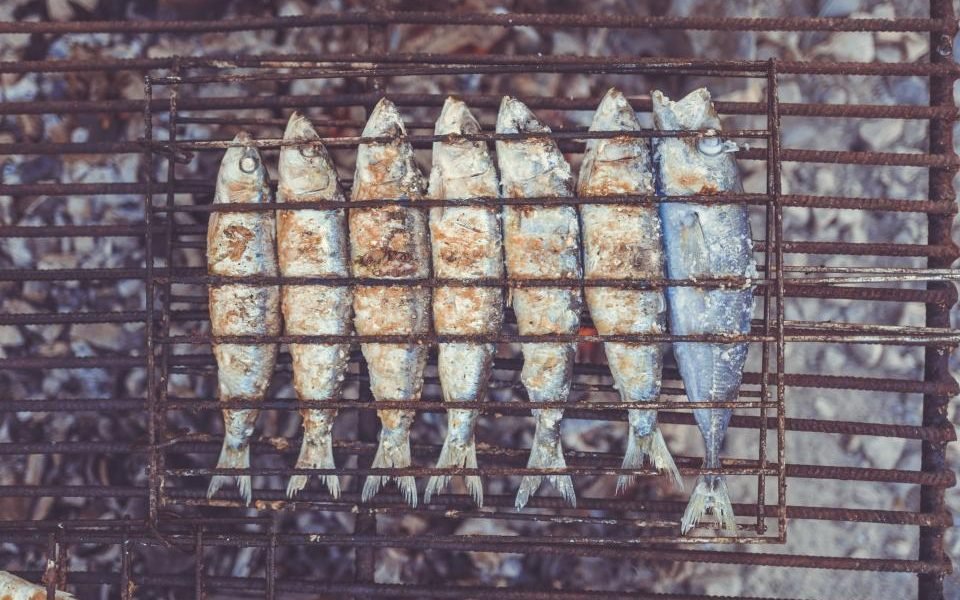 Row of whole sardines on a grill rack